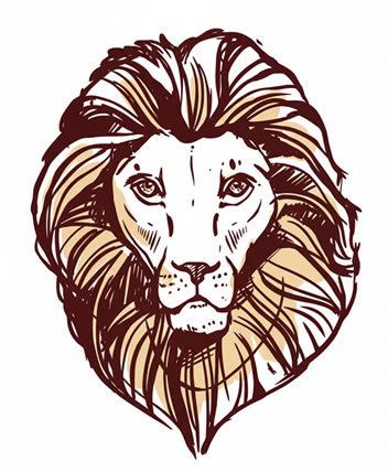 lion